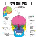 다정다감한의원 이미지
