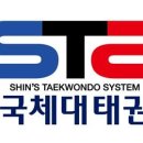 STS한국체대태권도 이미지