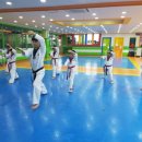 용인대성민태권도 | 활기넘치는 아이들의 공간 아름동태권도 용인대성민태권도 방문후기 !