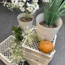 오늘도빙수 회기점 이미지