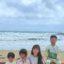 사계절펜션민박 이미지