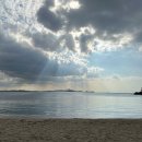 솔향기길야영장 이미지