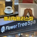막탄 플라워트리스파 위치 가격