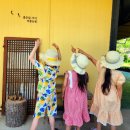 비룡농원 이미지