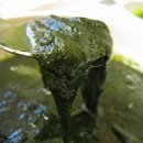 굴&매생이 전문 이미지