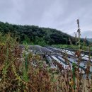 부동산발전소공인중개사사무소 이미지