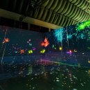 라파우자 이미지