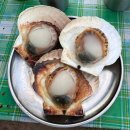 백도오토캠핑장 | 강원도 고성 오션뷰 캠핑장 백도오토캠핑장 후기(C-13)
