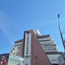 강남시장 | 강남 고속터미널 트리시장 방문 후기 크리스마스 준비