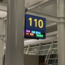 라벨라코리아 | 거북이를 찾아서🐢보홀여행