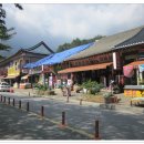 제85차 정기산행 충남 공주 계룡산 (천황봉: 845m) =100대명산= *단풍/암릉절경* 산행공지 2012.10.14. 06:00출발 이미지