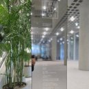 아모레퍼시픽 미술관 ELMGREEN &amp;DRAGSET: SPACES 전시와 아모레 퍼시픽 본사 건물투어, 주차정보