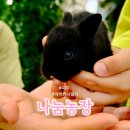순수농장 | 파주 나눔농장 아이랑 열번 넘게 가본 실제 후기