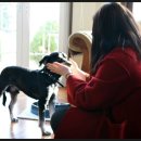 아침향기펜션 이미지