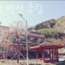 곰배령펜션 휴림 네이버블로그