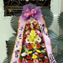 하이비스PC 이미지