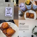 셀럽퍼피 | 한남동 대형카페 낫배드커피 한남점 솔직후기 (루프탑 + 버터떡까지 완벽)