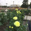 앙드레농장 이미지