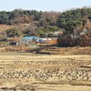 정곡리마을회관 이미지