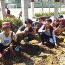 청원초등학교 이미지