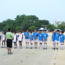 김포초등학교 이미지