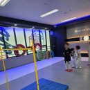 내체력 태권도장 이미지