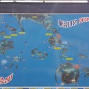 태평양해운(주) 이미지