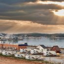 애니오토 카 이미지