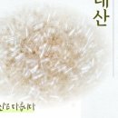 주식회사 서흥 이미지