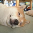 엘르메디여성의원 이미지