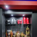 김일권 챔프복싱 이미지