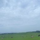 퓌센하우스 | 버블프렌즈 유럽후기 | 퓌센, 노이슈반슈타인성, 뮌헨, 호프브로이하우스뮌헨, 영국정원, 하리보샵