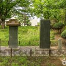 영영축성비 이미지