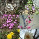 치현농장 이미지