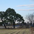 어단1리 이미지