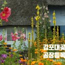 이재두 행정사 이미지