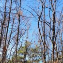 원주곡경로당 이미지