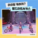 당진월드아트서커스 | 당진 월드아트서커스 후기 위치 공연시간 가격 안내