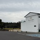 정원목장 | 제주 목장 카페 밭디 돌아기랑 즐기고 온 후기