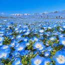 이제이투어 - 제주시 신대로 70 | 이제이투어