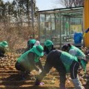 신창면 행정복지센터 이미지