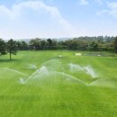 라온CC 골프연습장 이미지