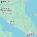 브리아니 | 🛫6세 아이랑 싱가포르 7월 여행│맛집 잠잠 추천 & 아랍 스트리트 관광