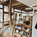 로아 LOA ) 서동탄 북카페 , 분위기 있는 “아워시즌 (능동점)” 동탄 카페 수원 카페