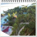 아일랜드 당구클럽 이미지