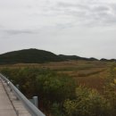 발해를꿈꾸며 이미지