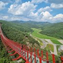 땡큐파워 이미지