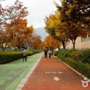 스포츠파크 족구장 이미지