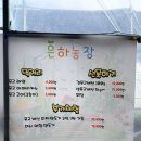용인 버섯체험 찾는다면? 숨겨진 체험맛집 | 아이와 다녀온 은하농장 솔직후기