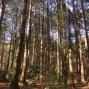 장전초등학교 이미지